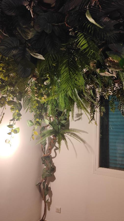 Jungle Room Cannes Zewnętrze zdjęcie