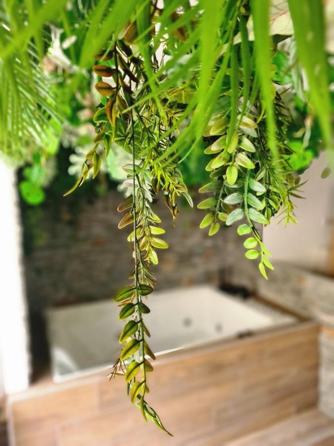 Jungle Room Cannes Zewnętrze zdjęcie