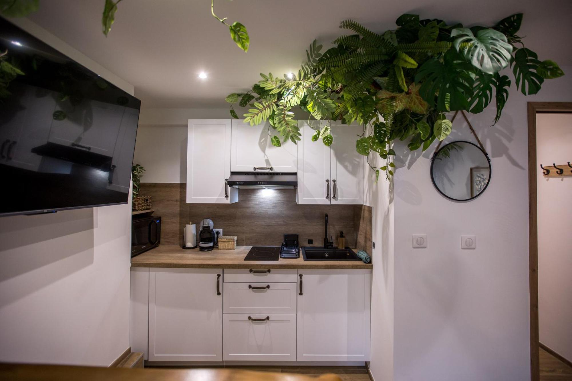 Jungle Room Cannes Zewnętrze zdjęcie